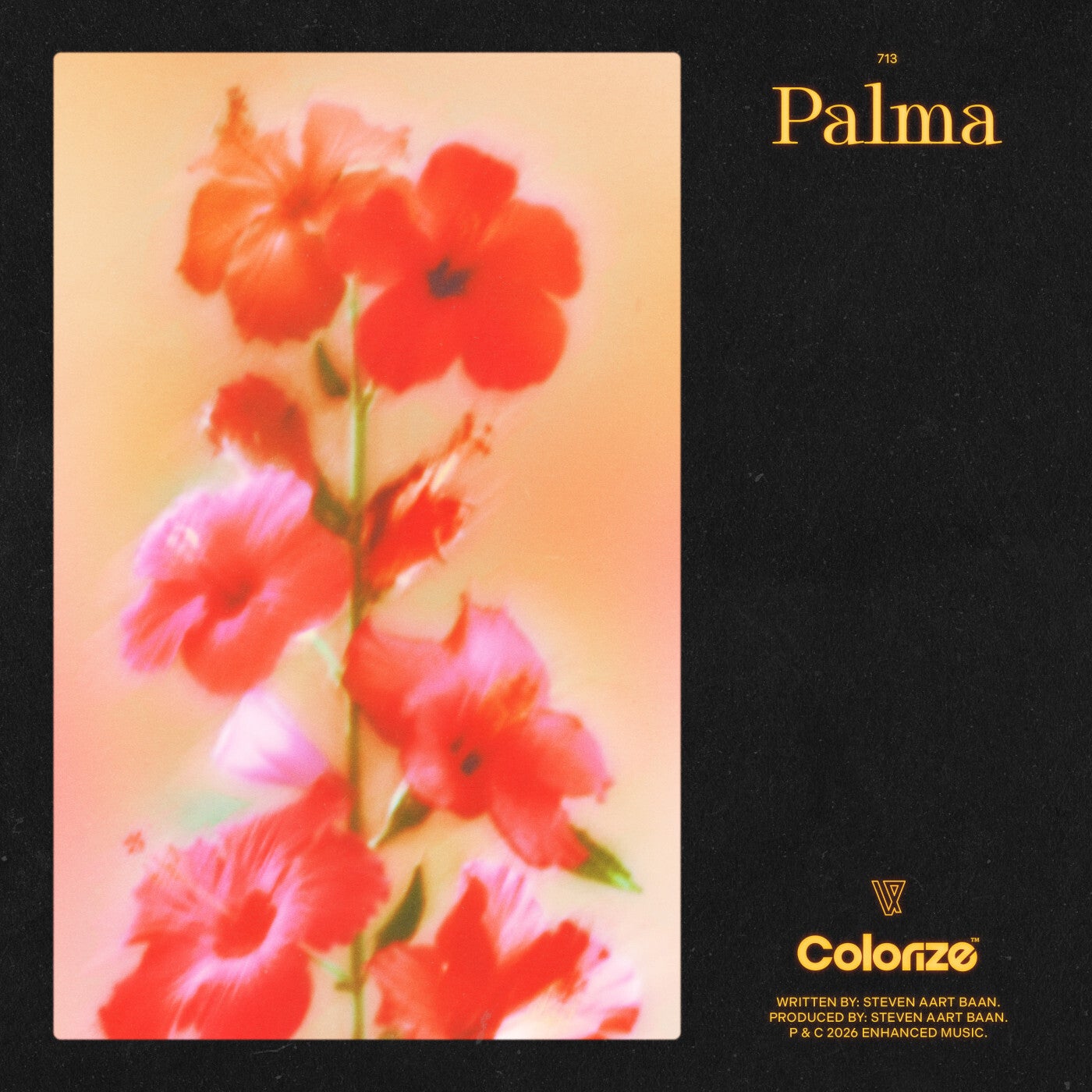 Cover - Estiva - Palma (Extended Mix) Promo tools