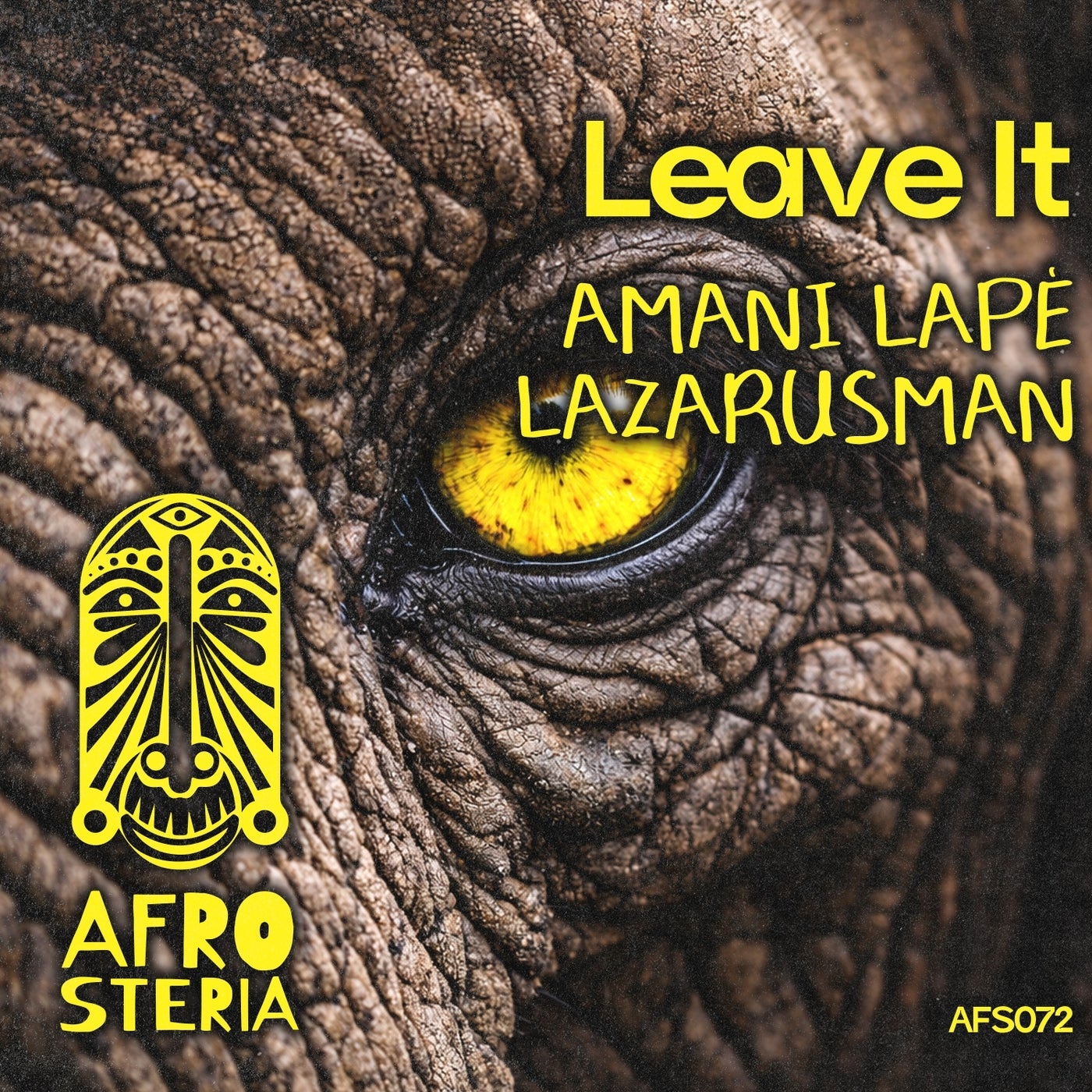 Cover - Lazarusman, Amani Lapè - Leave It (Original Mix) Promo tools