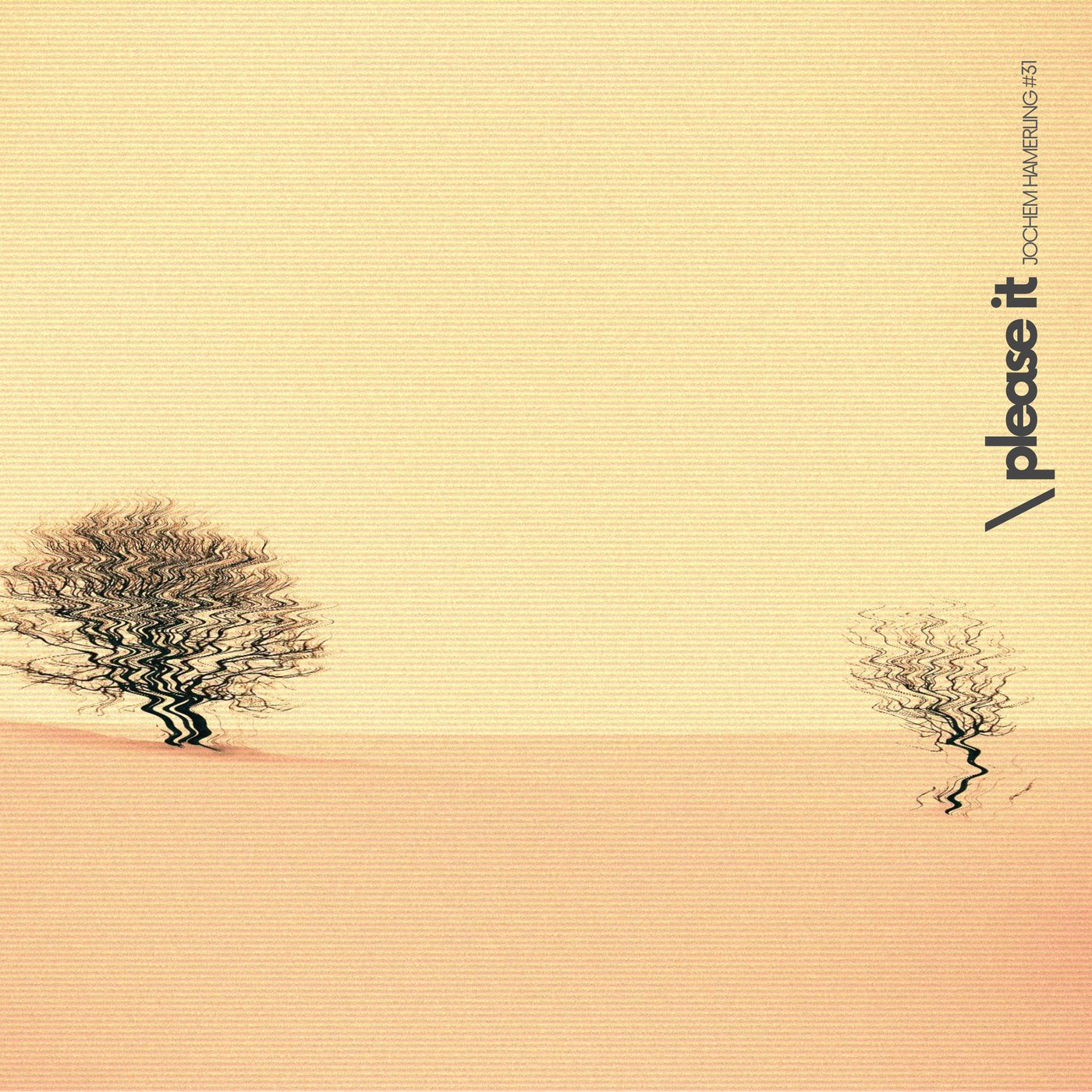 Cover - Jochem Hamerling - Please It (Oiginal Mix) Promo tools
