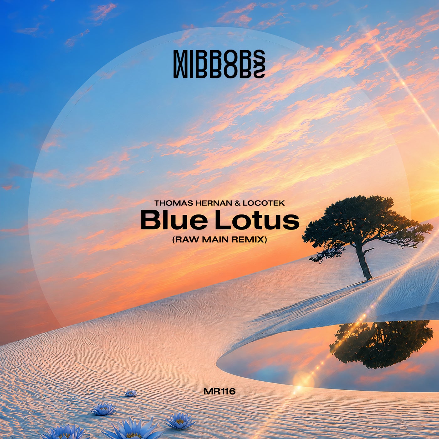 Cover - Thomas Hernan, Locotek - Blue Lotus (Raw Main Remix) Promo tools