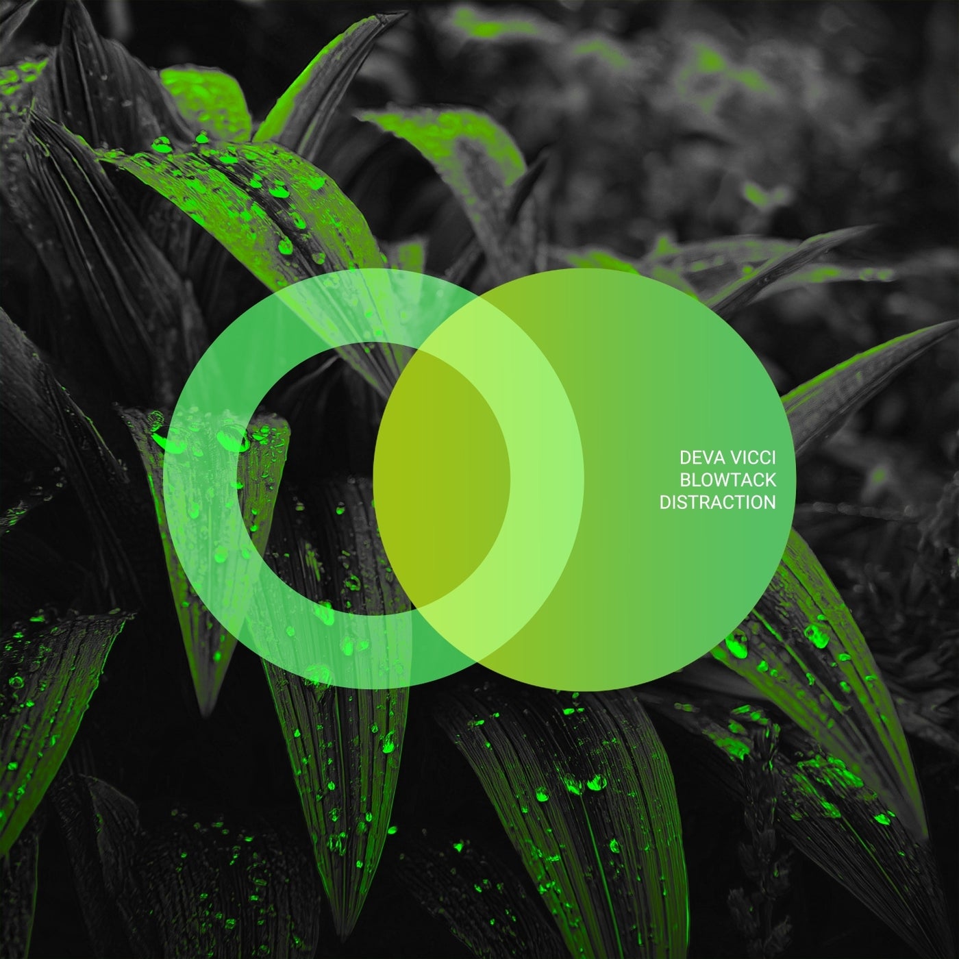 Cover - Deva Vicci - Distraction (Original Mix) Promo tools
