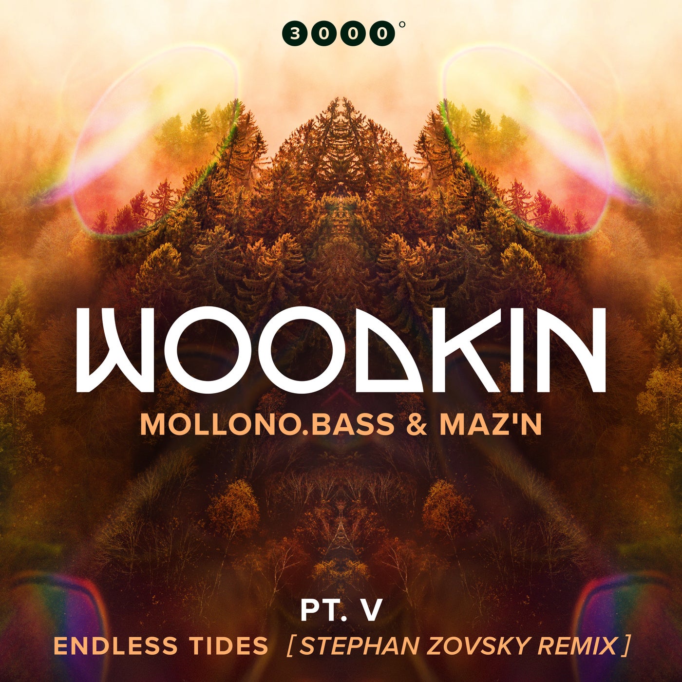 Cover - Mollono.Bass, MAZ'N, WOODKIN - Endless Tides (Stephan Zovsky Extended Remix) Promo tools
