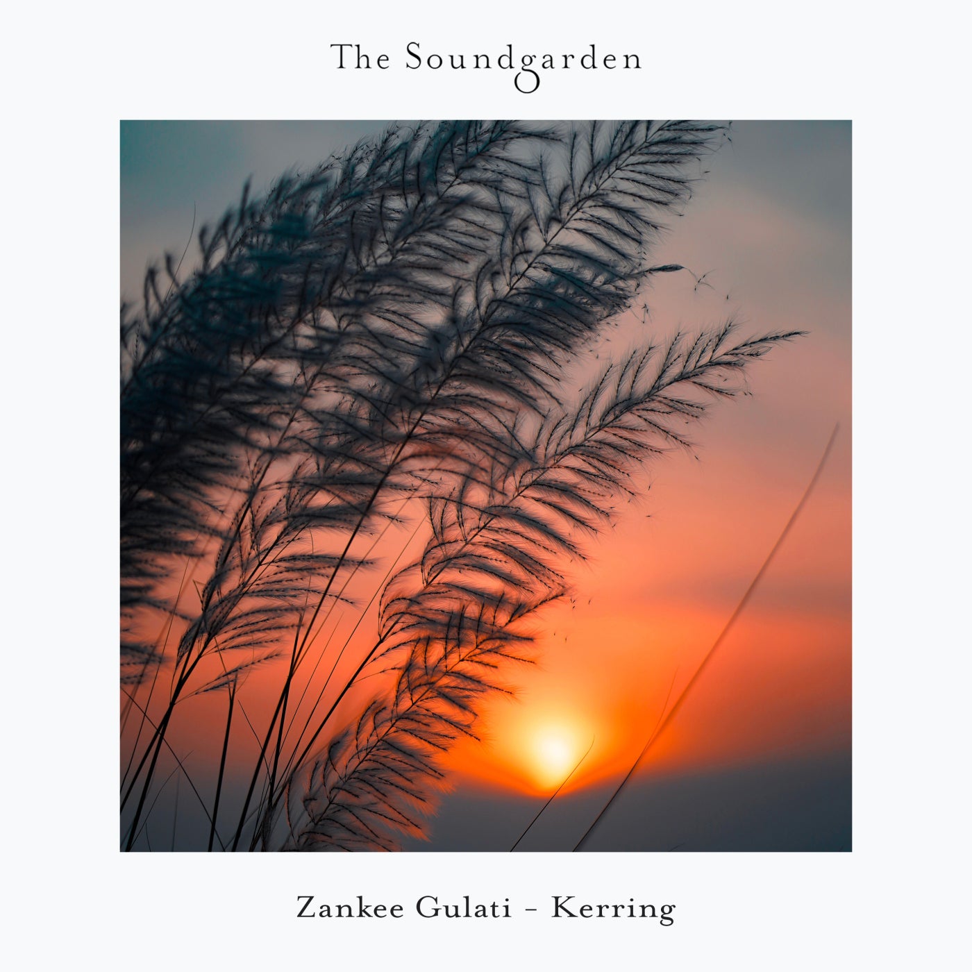 Cover - Zankee Gulati - Vertigo (Original Mix) Promo tools