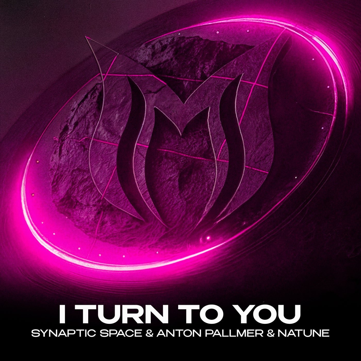 Cover - Natune, Anton Pallmer, Synaptic Space - I Turn to You (Extended Mix) Promo tools