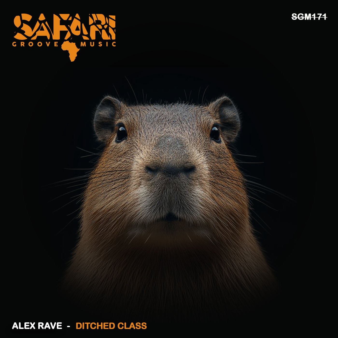 Cover - Alex Rave - YUP (Original Mix) Promo tools