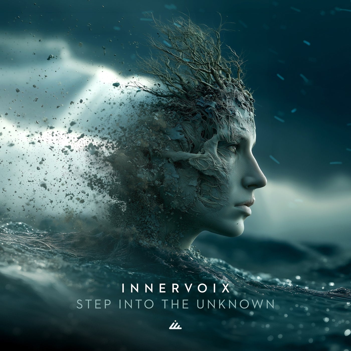 Cover - Innervoix - Step into the Unknown (Original Mix) Promo tools