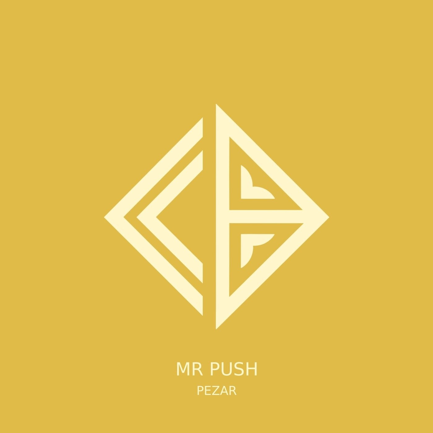 Cover - PEZAR - Mr Push (Original Mix) Promo tools