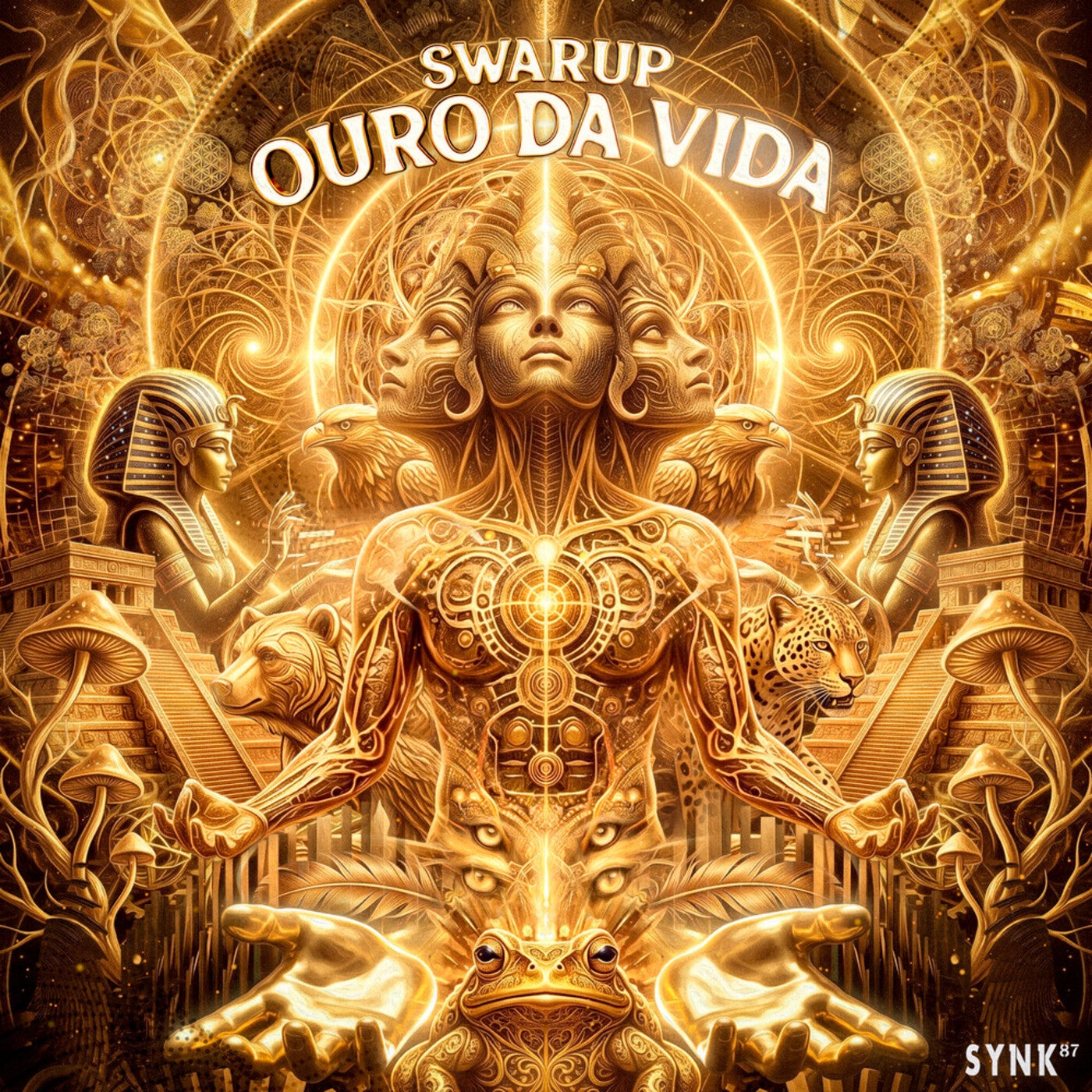 Cover - Swarup - Ouro Da Vida (Original Mix) Promo tools