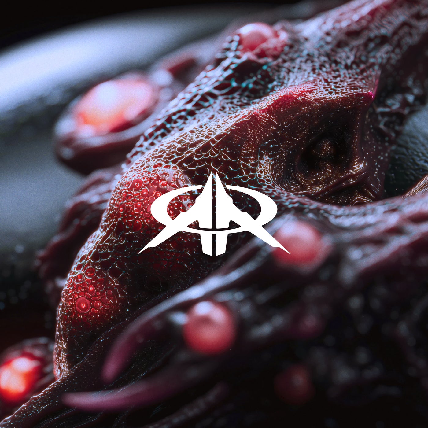 Cover - Final Request - Rebirth (Extended Mix) Promo tools