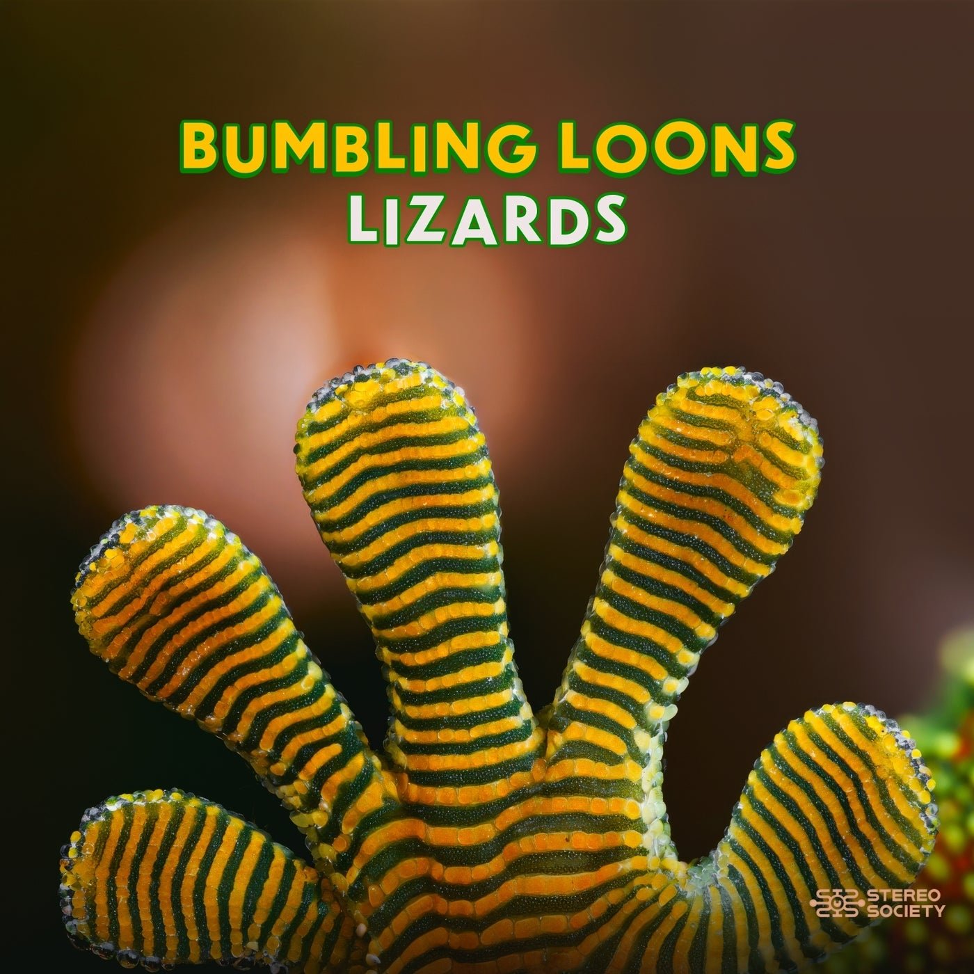 Cover - James Monro, Dickster, Bumbling Loons - Gecko (Original Mix) Promo tools