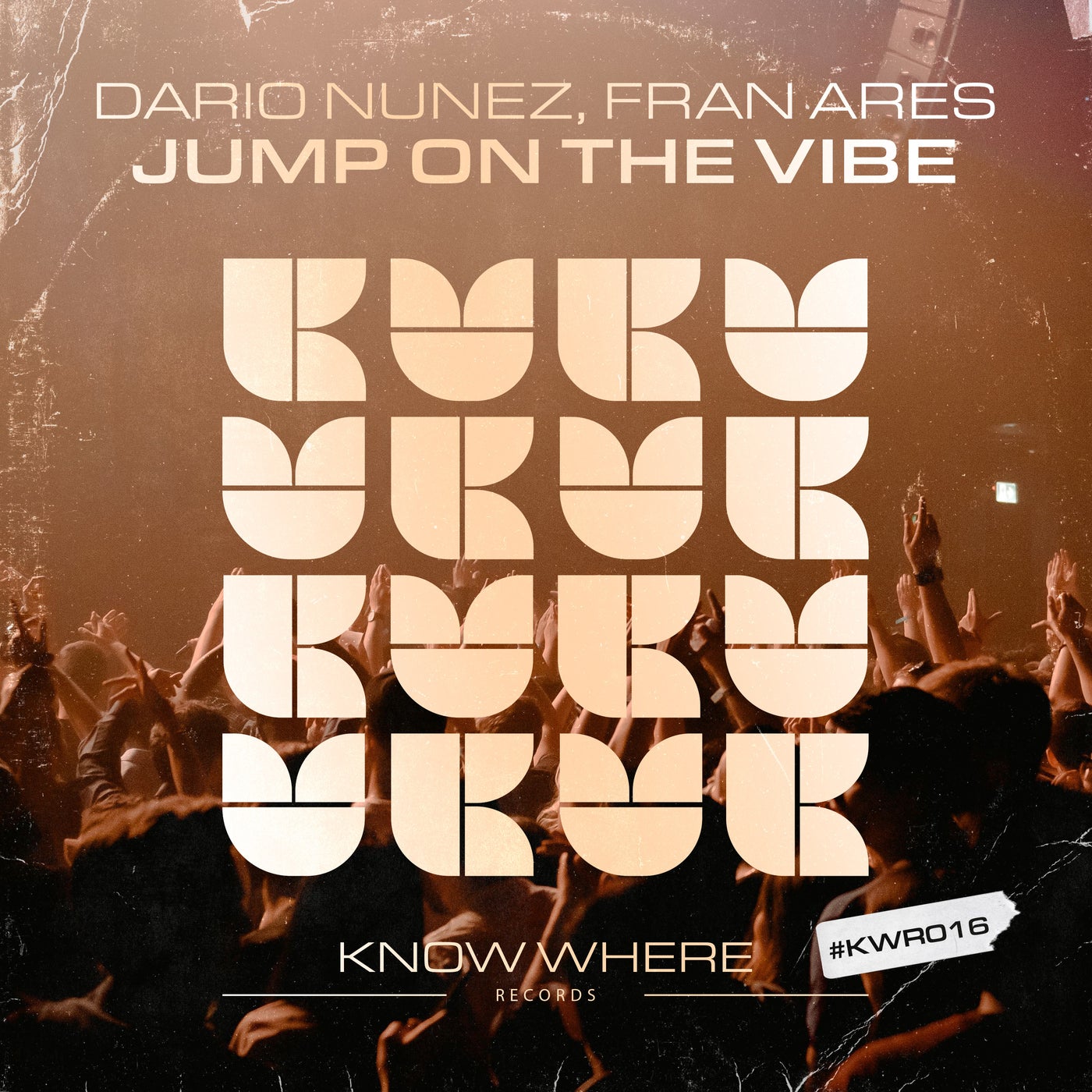 Cover - Dario Nunez, Fran Ares - Jump On The Vibe (Extended Mix) Promo tools