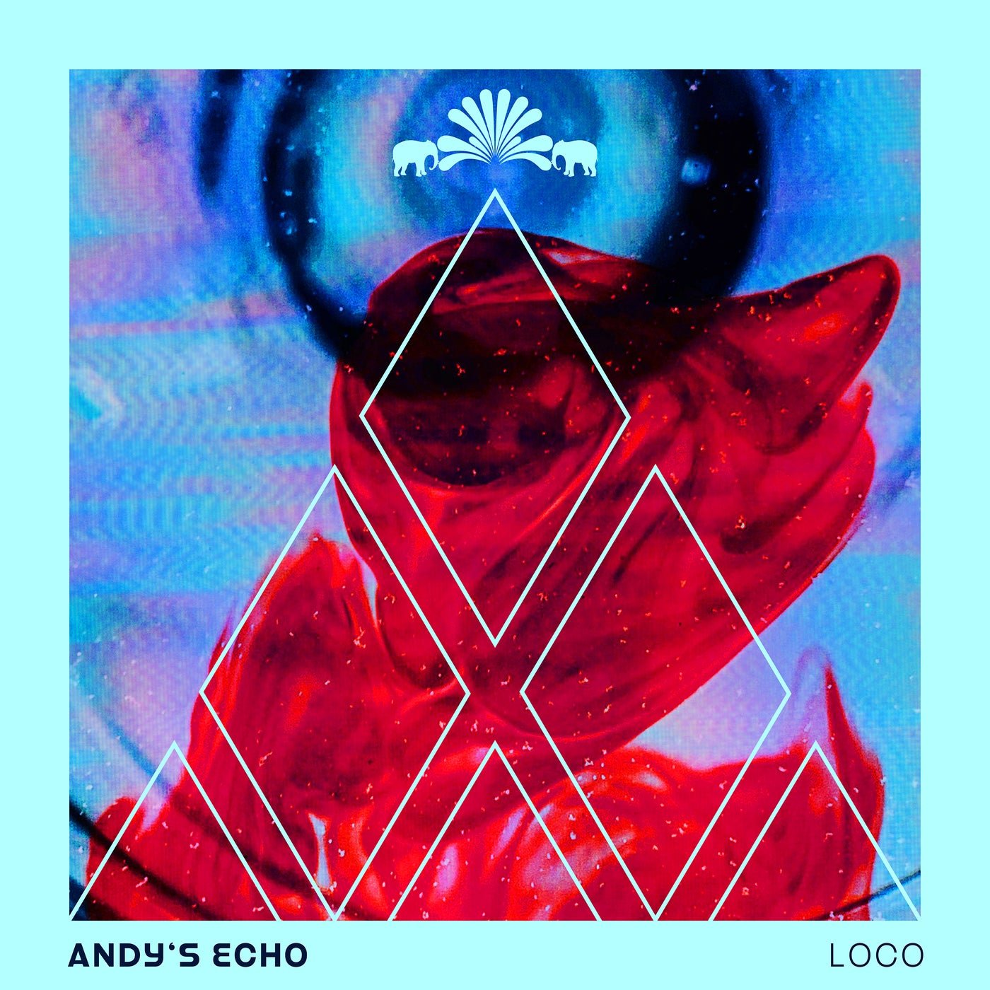 Cover - Andy's Echo - Loco (Extended) Promo tools