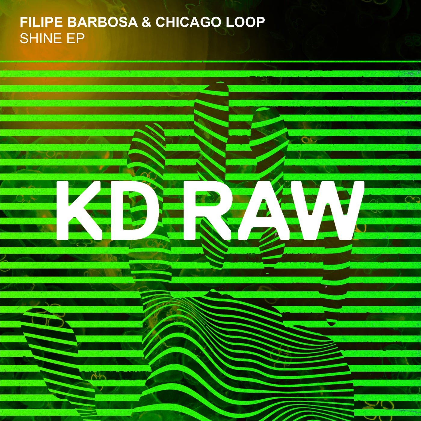 Cover - Chicago Loop, Filipe Barbosa - Shine (Original Mix) 