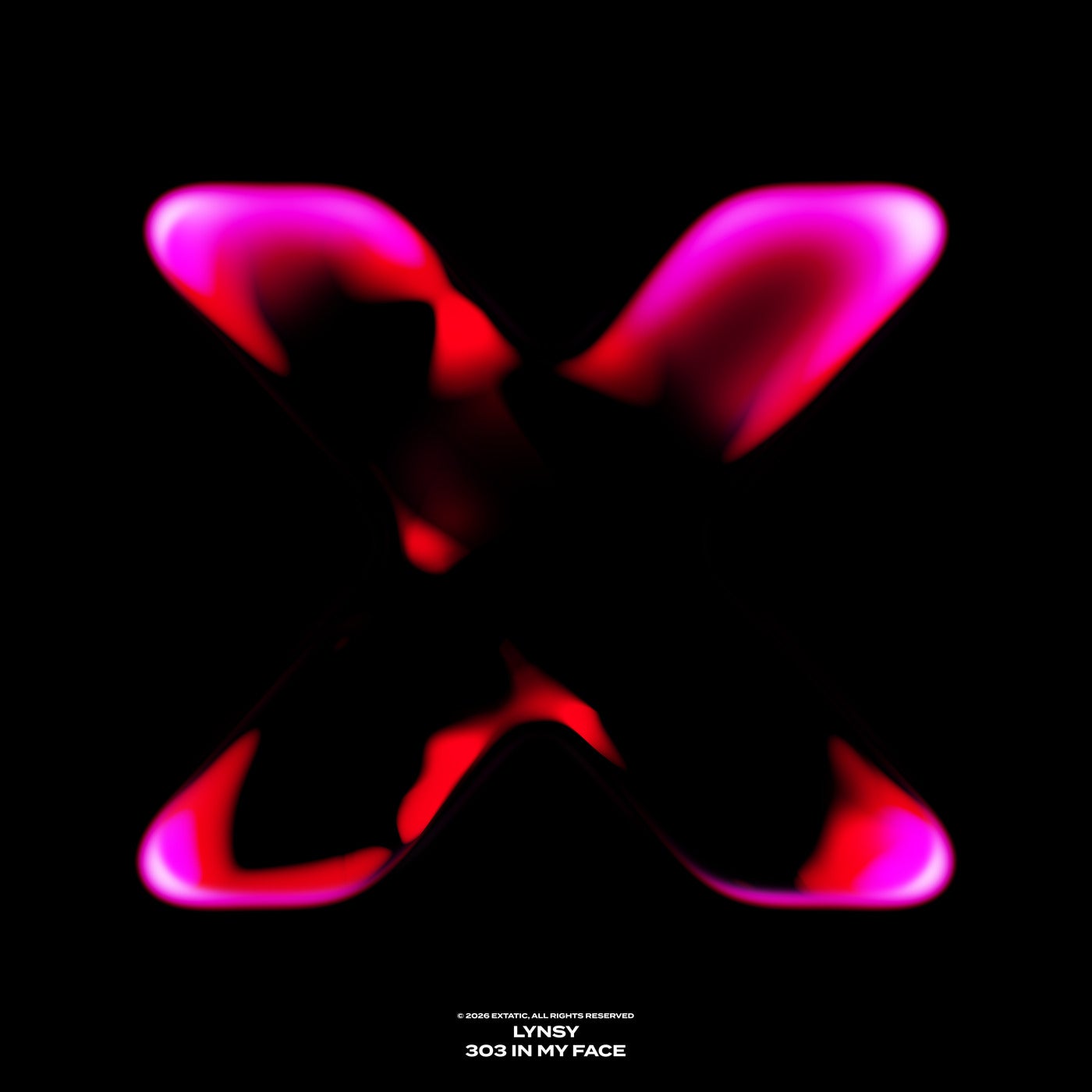 Cover - LYNSY - 303 In My Face (Extended Mix) Promo tools