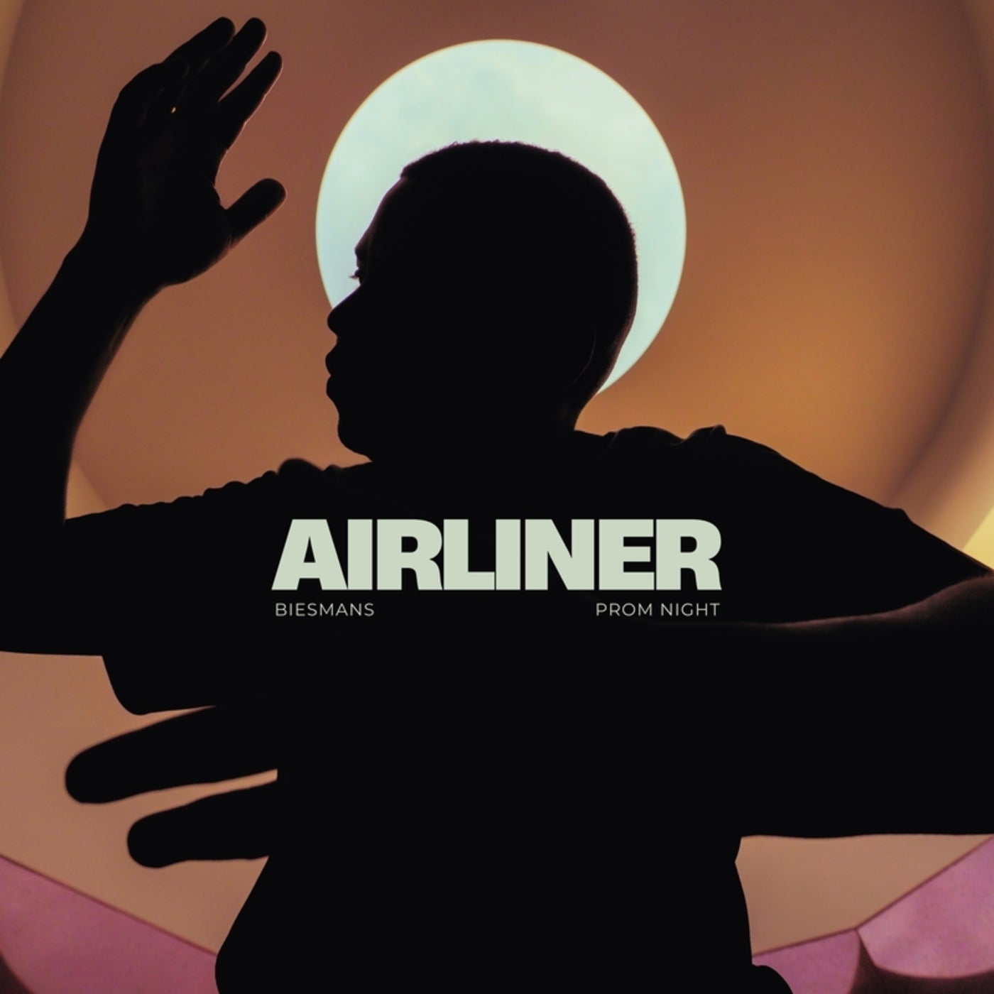 Cover - Biesmans, Prom Night - Airliner (Original Mix) Promo tools