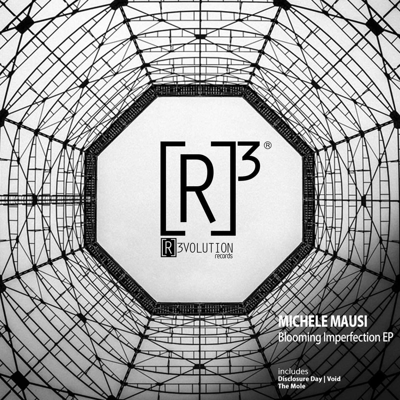 Cover - Michele Mausi - Blooming Imperfection (Original Mix) Promo tools