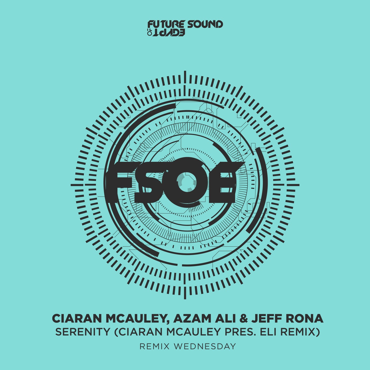 Cover - Azam Ali, Ciaran McAuley, Jeff Rona - Serenity (Ciaran McAuley, ELÏ Extended Remix) Promo tools