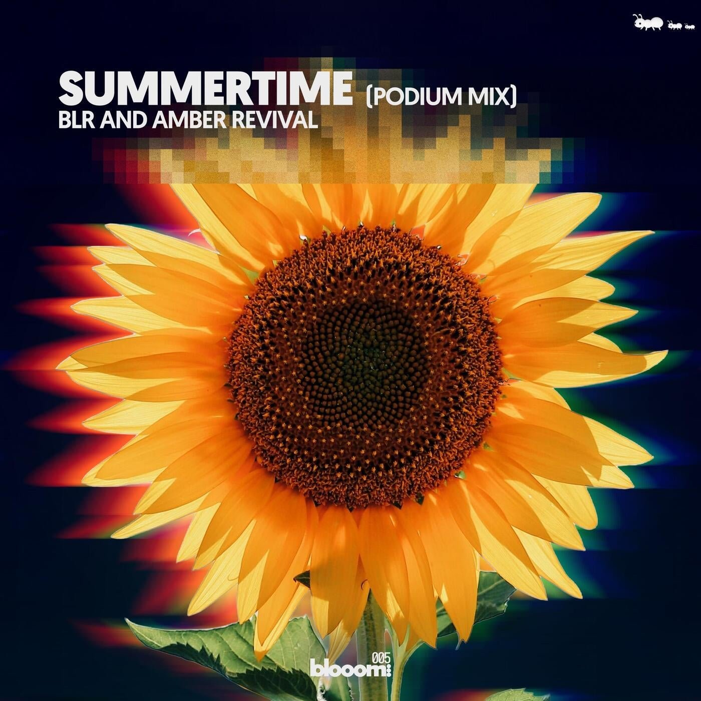 Cover - BLR, Amber Revival - Summertime (Extended Mix) Promo tools