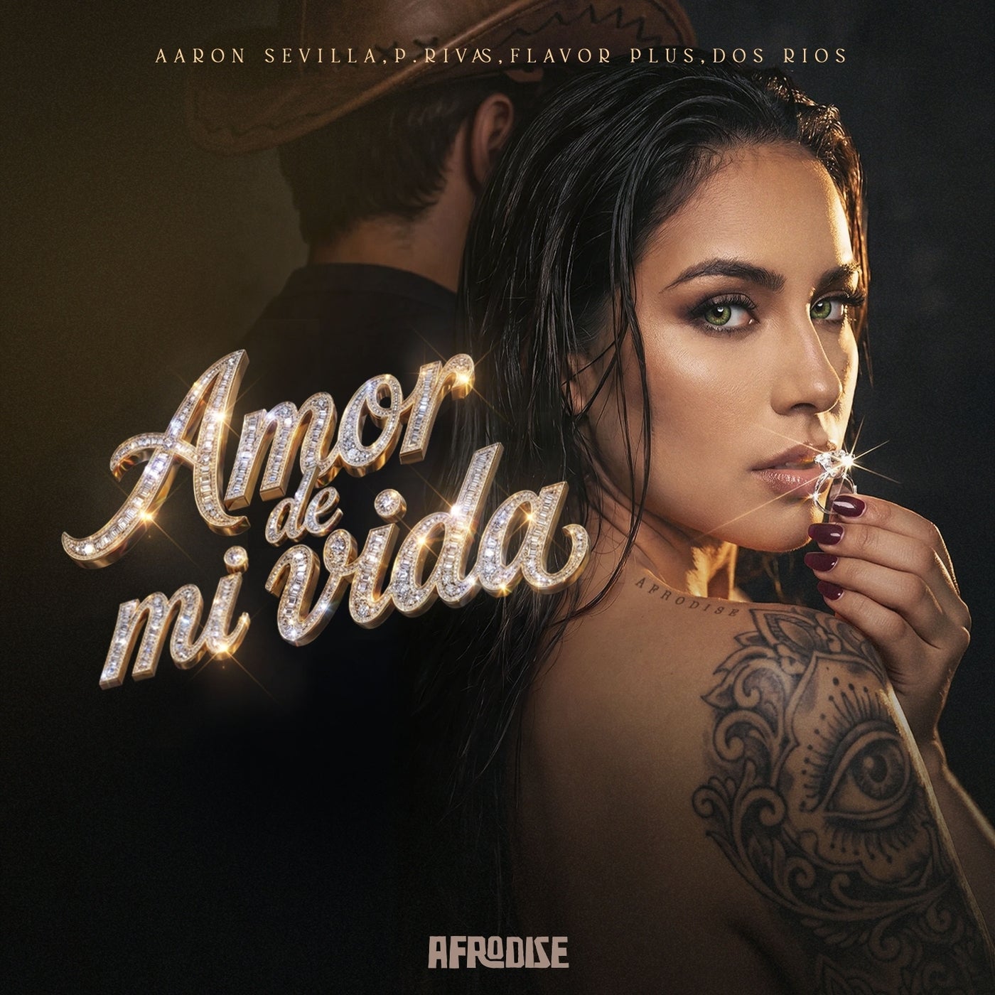 Cover - Aaron Sevilla, P.Rivas, Dos Rios, Flavor Plus - Amor De Mi Vida (Original Mix) Promo tools