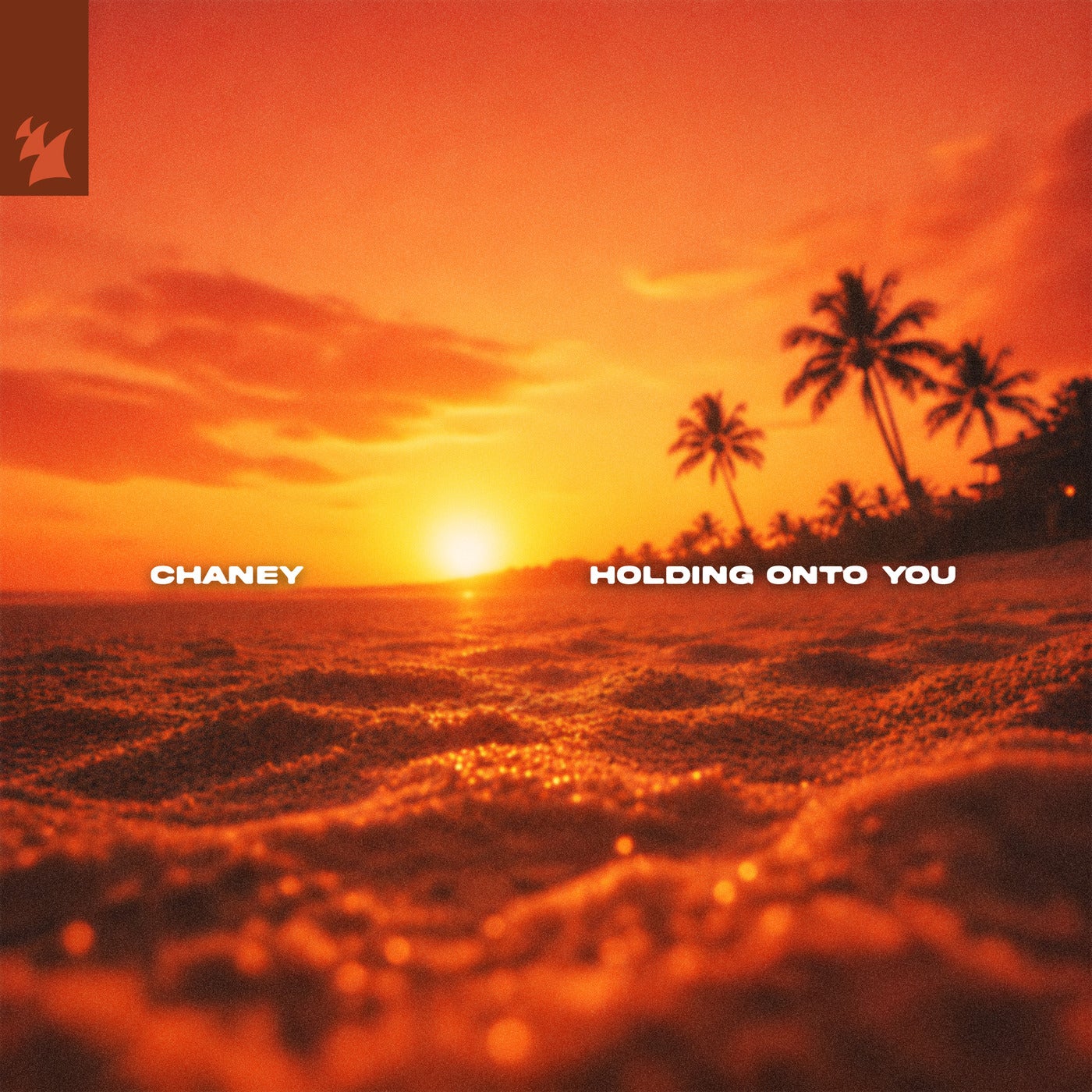 Cover - CHANEY (UK) - Holding Onto You (Extended Mix) Promo tools