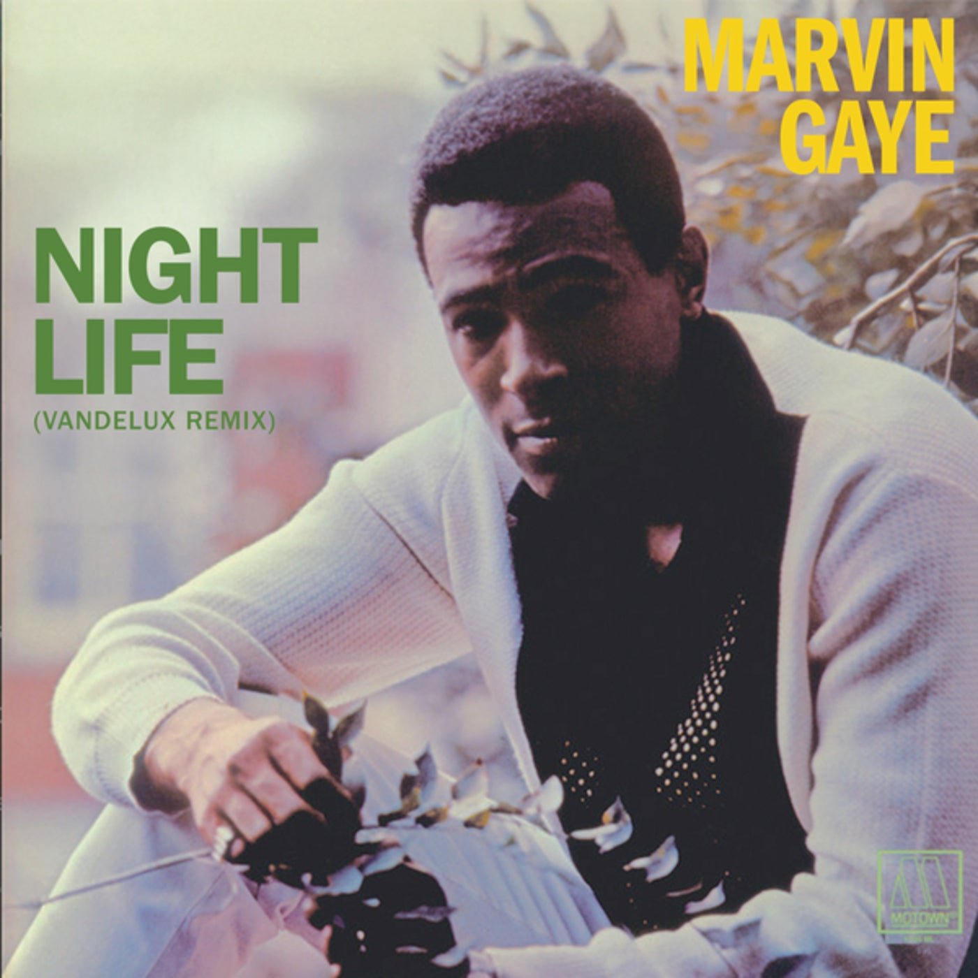 Cover - Marvin Gaye, Vandelux - Night Life (Vandelux Extended Remix) Promo tools