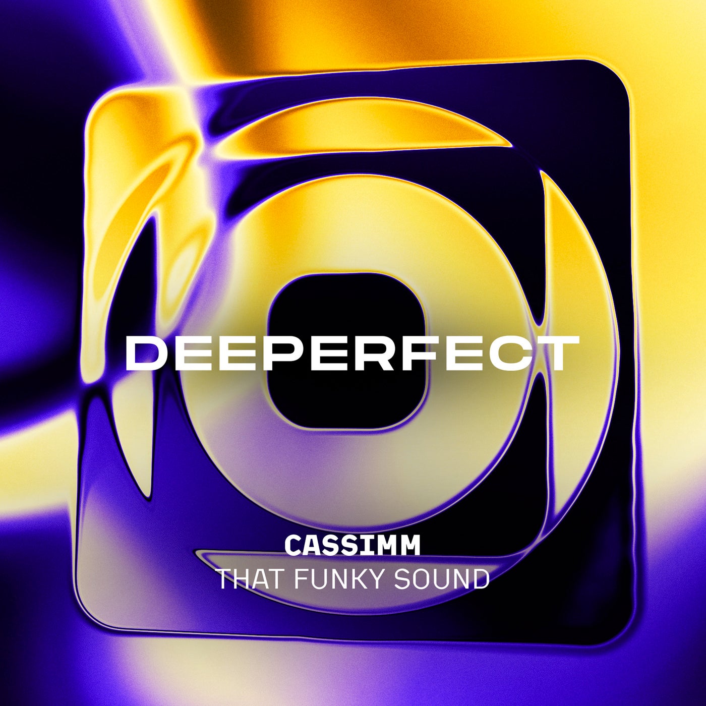 Cover - CASSIMM - That Funky Sound (Original Mix) Promo tools
