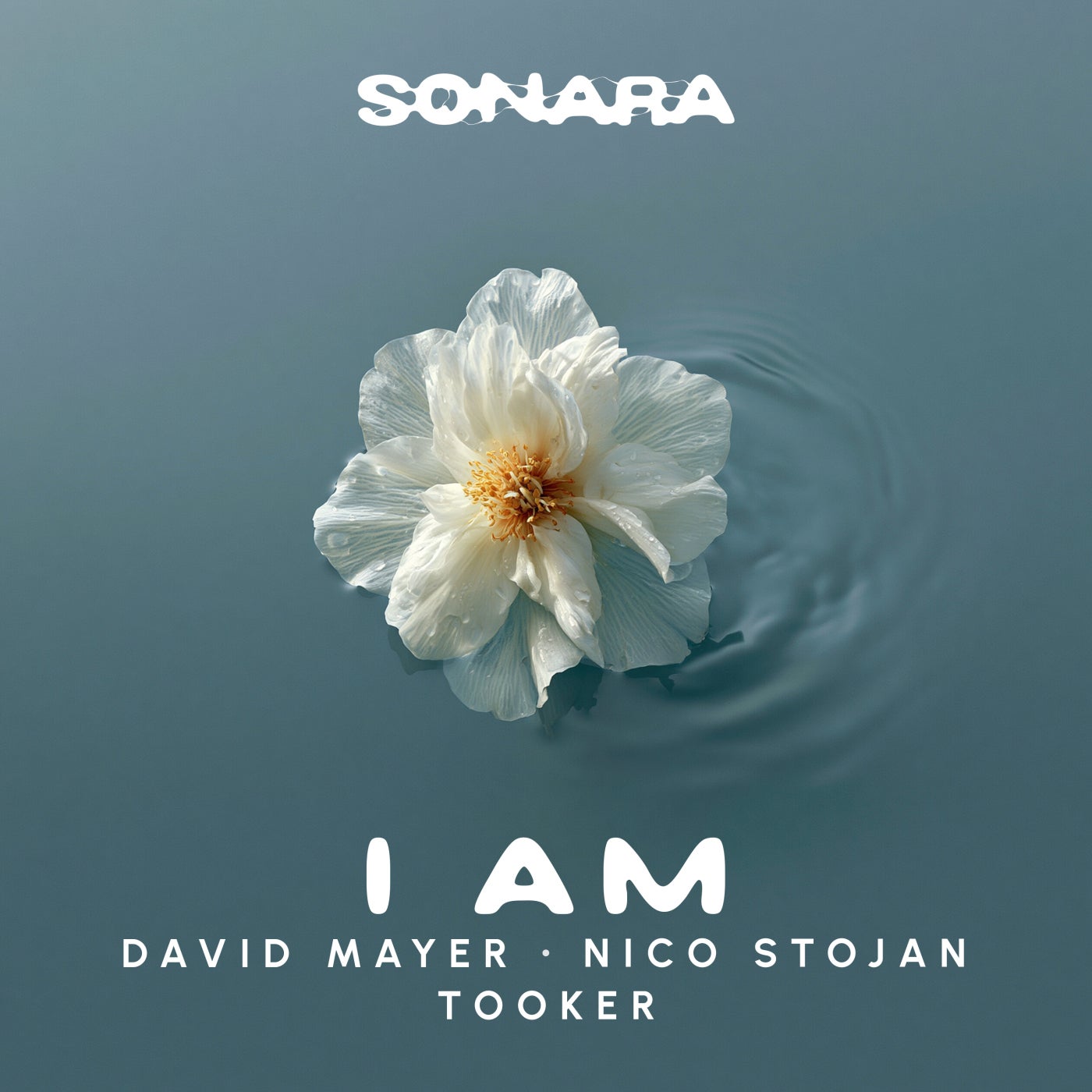 Cover - David Mayer, Nico Stojan, Tooker - I Am (Extended Mix) Promo tools