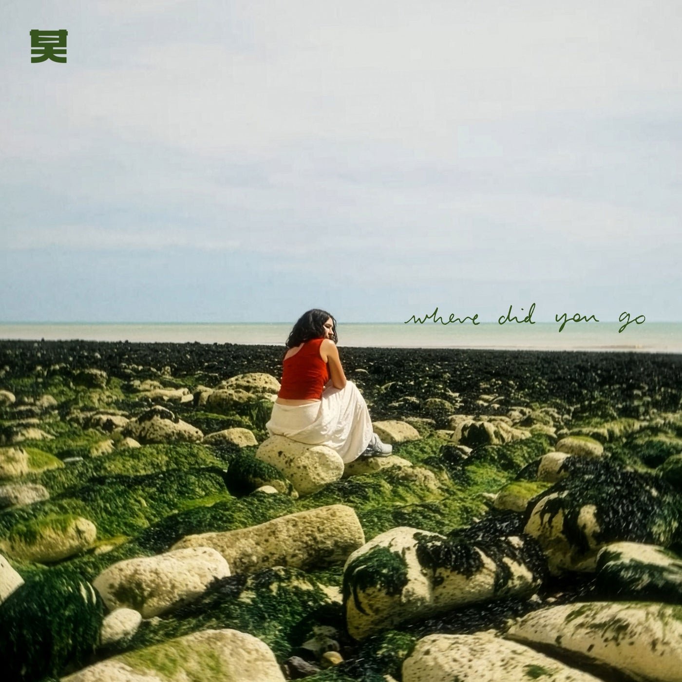 Cover - Pola & Bryson, DRIIA - Where Did You Go (Original Mix) Promo tools