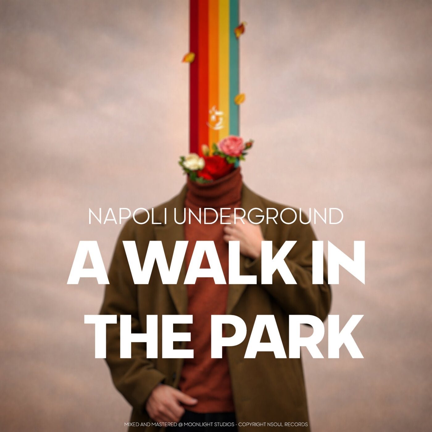 Cover - Napoli Underground - A Walk in the Park (Original Mix) 