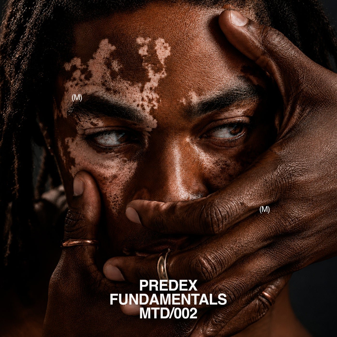 Cover - Predex - Fundamentals (Original Mix) Promo tools