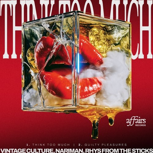 Cover - Vintage Culture, Rhys from the Sticks, Nariman - Think Too Much (Extended) Promo tools
