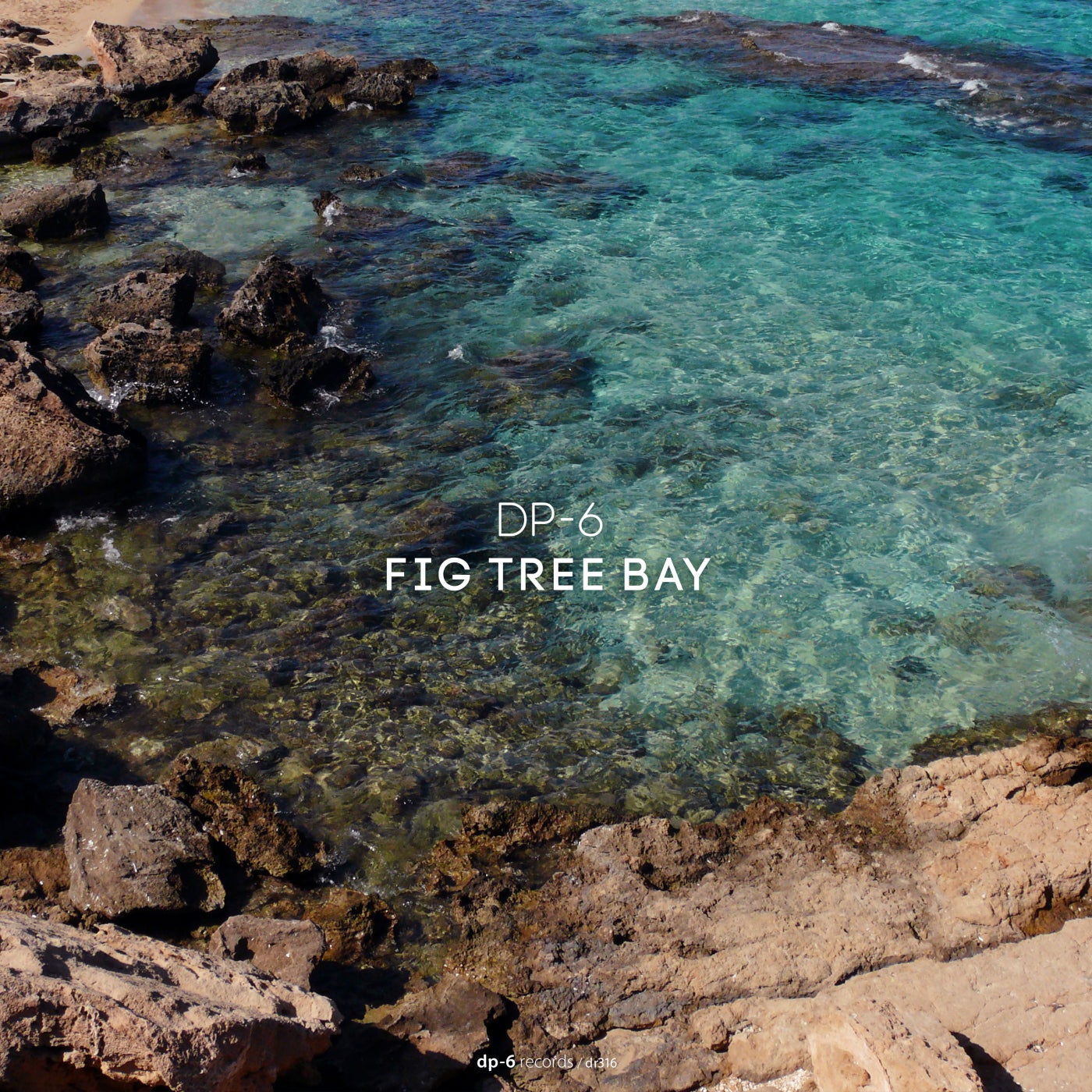 Cover - DP-6 - Fig Tree Bay (Original Mix) Promo tools
