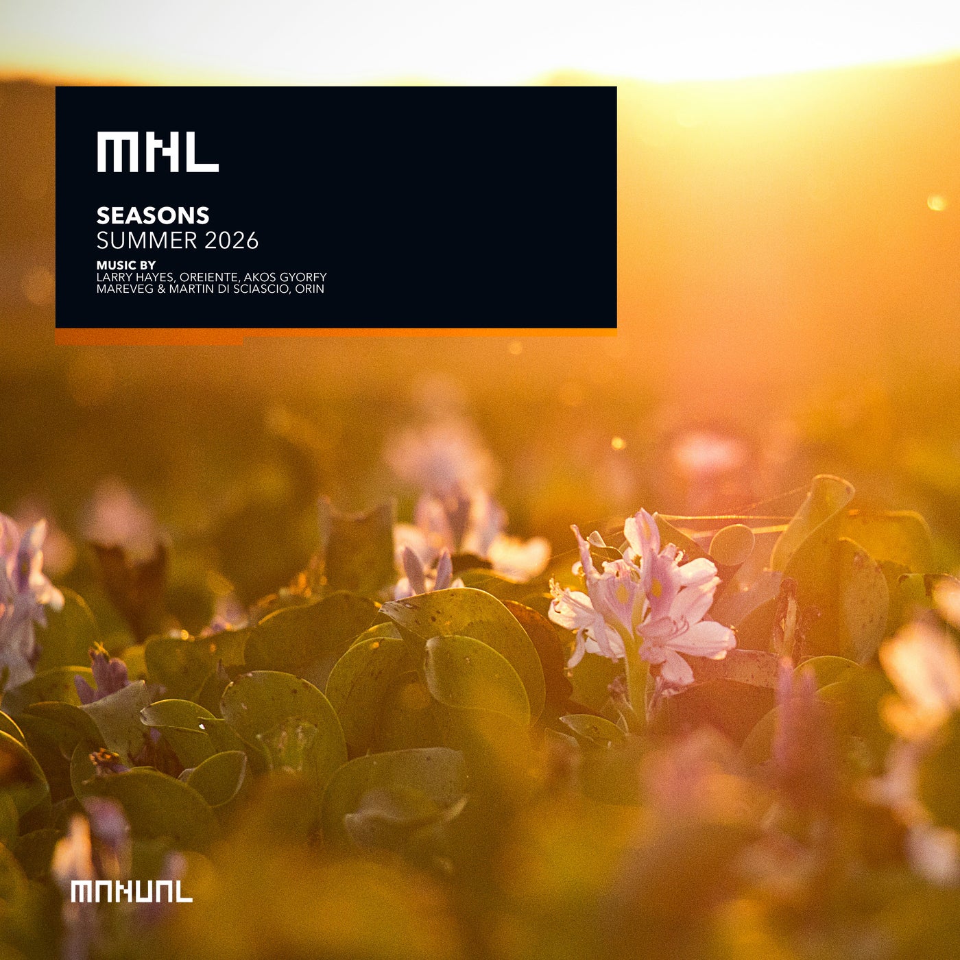 Cover - Martin Di Sciascio, Mareveg - Zenhyper (Original Mix) Promo tools