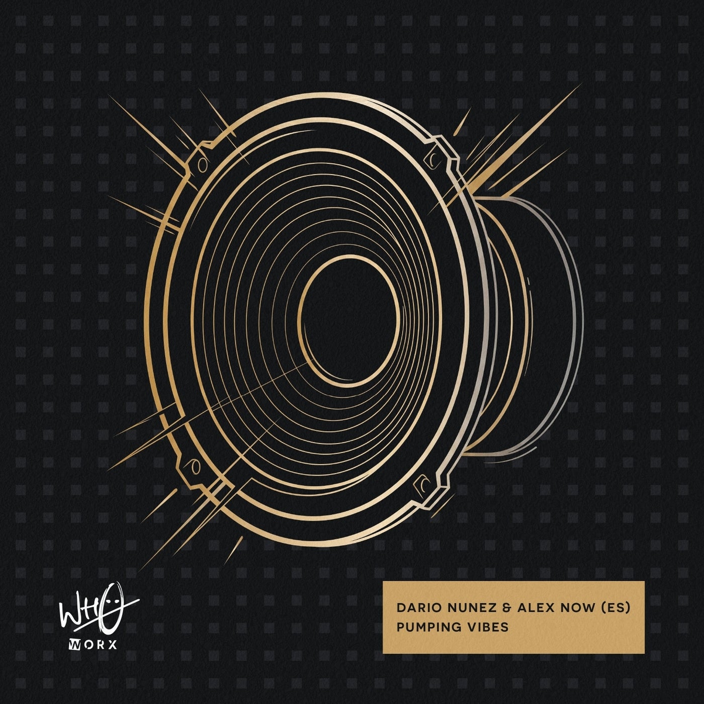 Cover - Dario Nunez, Alex Now (ES) - Pumping Vibes (Extended Mix) Promo tools