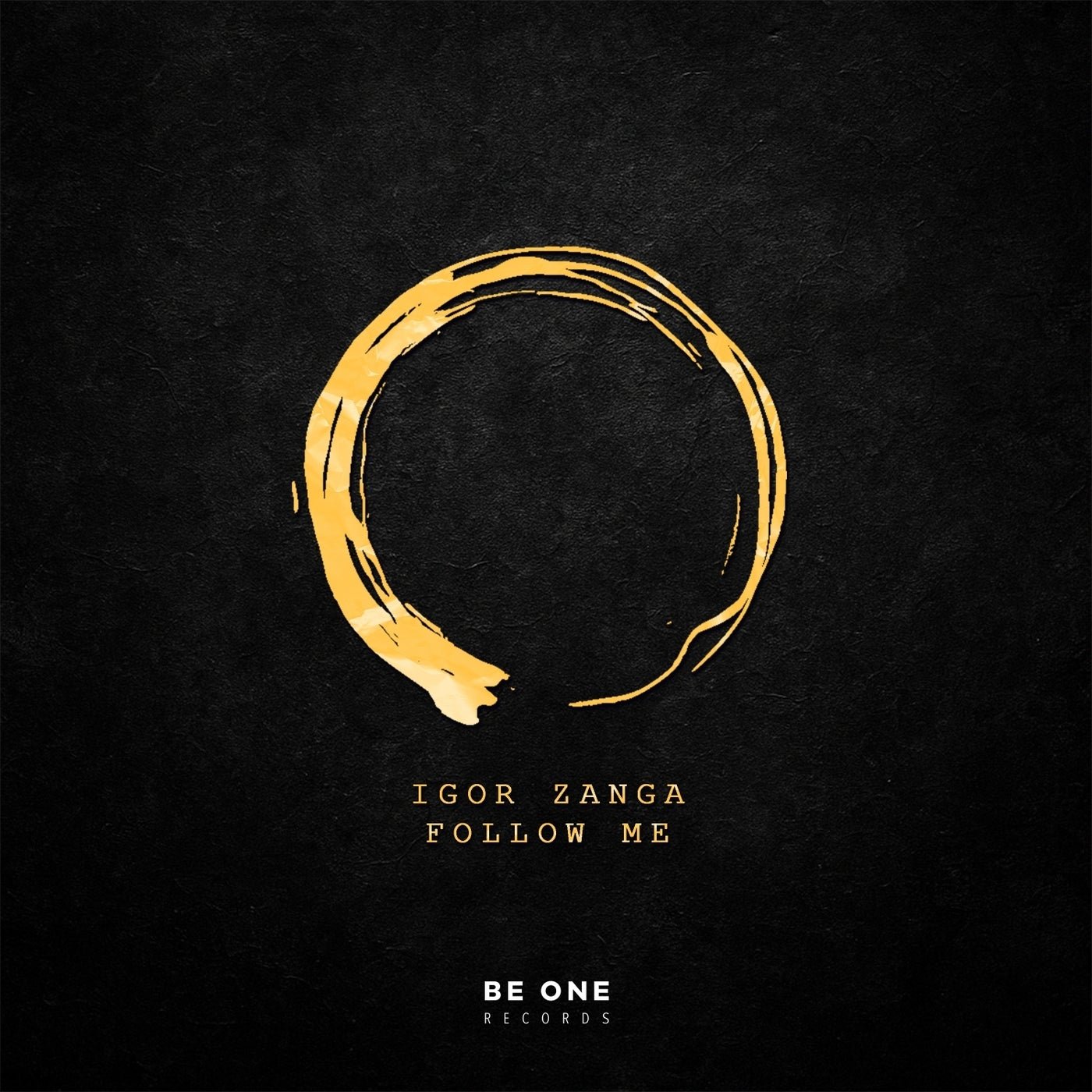 Cover - Igor Zanga - Follow Me (Original Mix) Promo tools