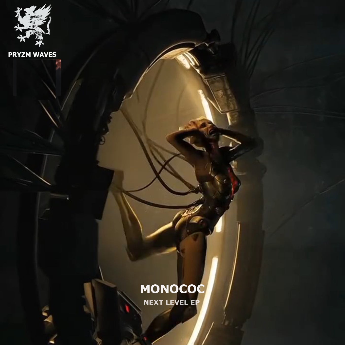 Cover - Monococ - Paragliders (Original Mix) Promo tools