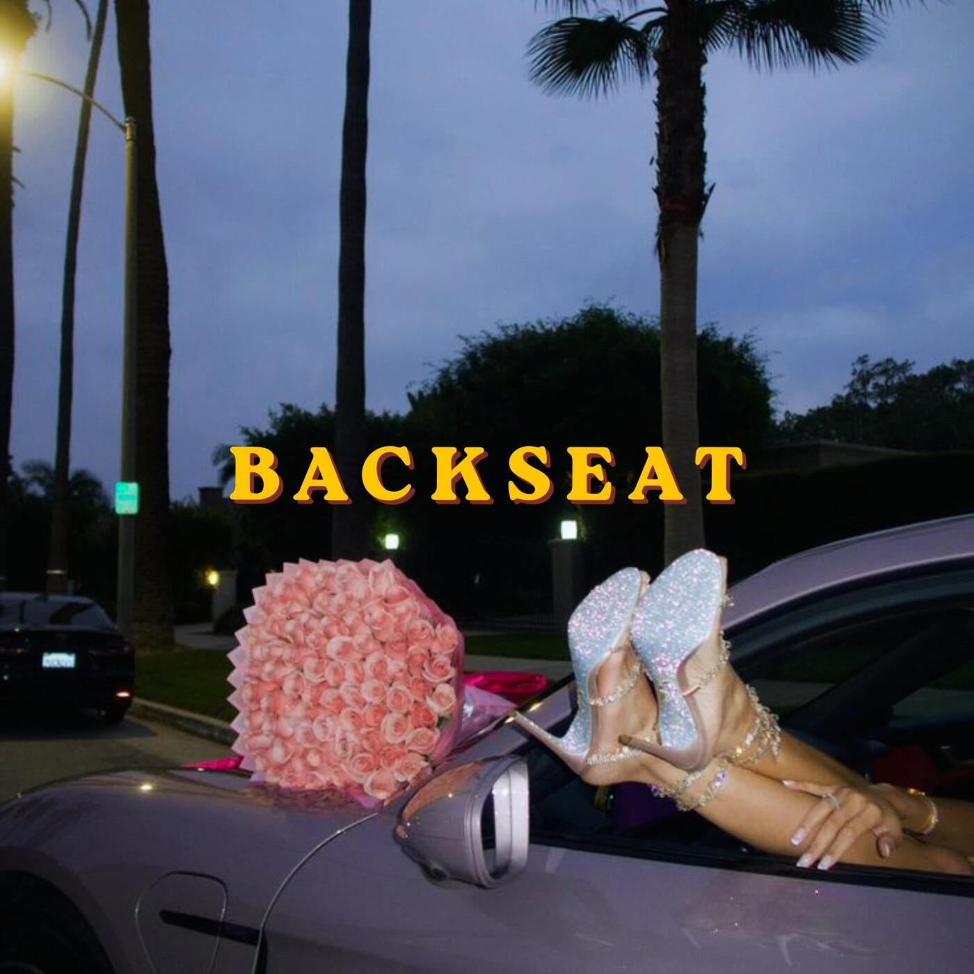 Cover - Cant Sleep - Backseat (Extended Mix) Promo tools