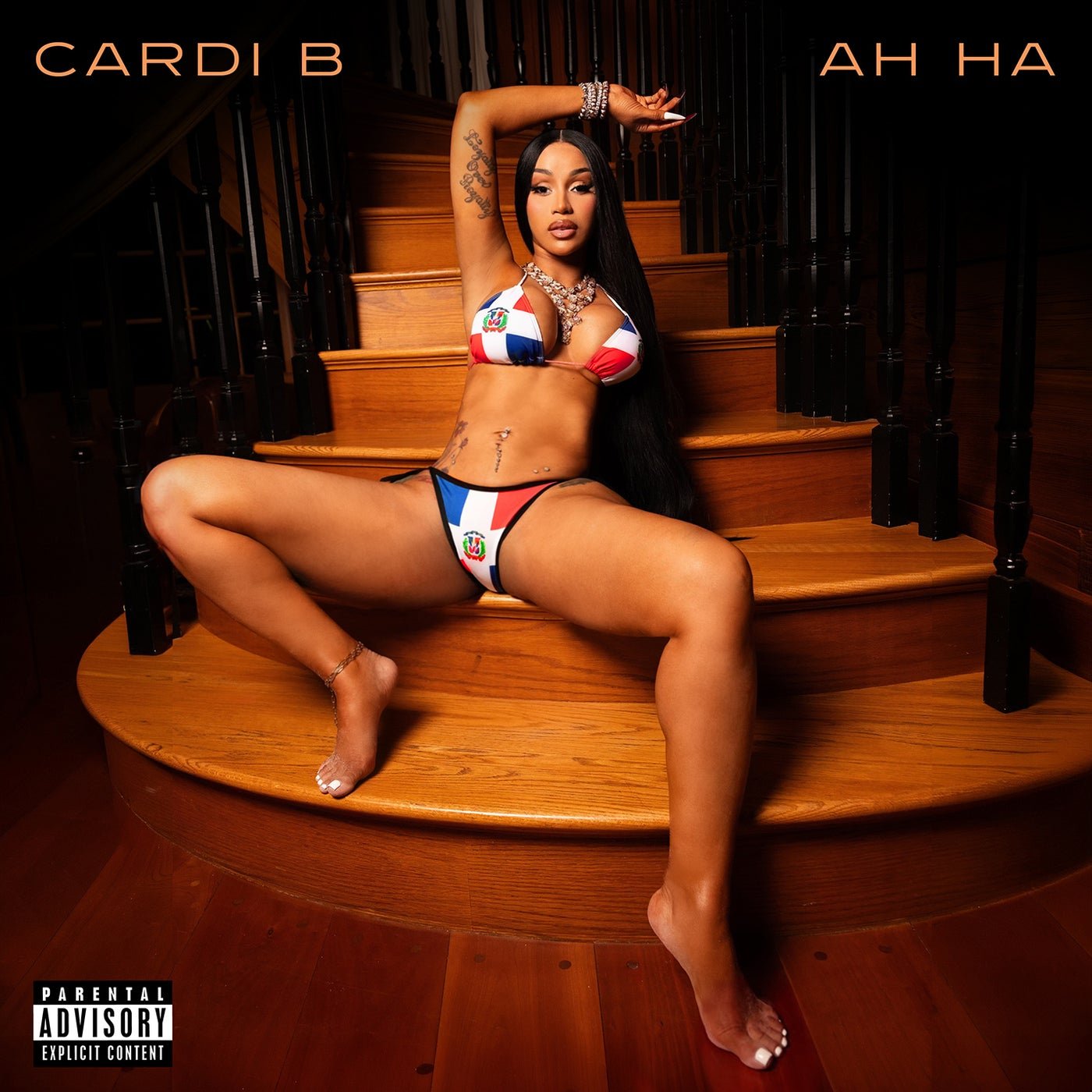 Cover - Cardi B - AH HA (Acapella) 