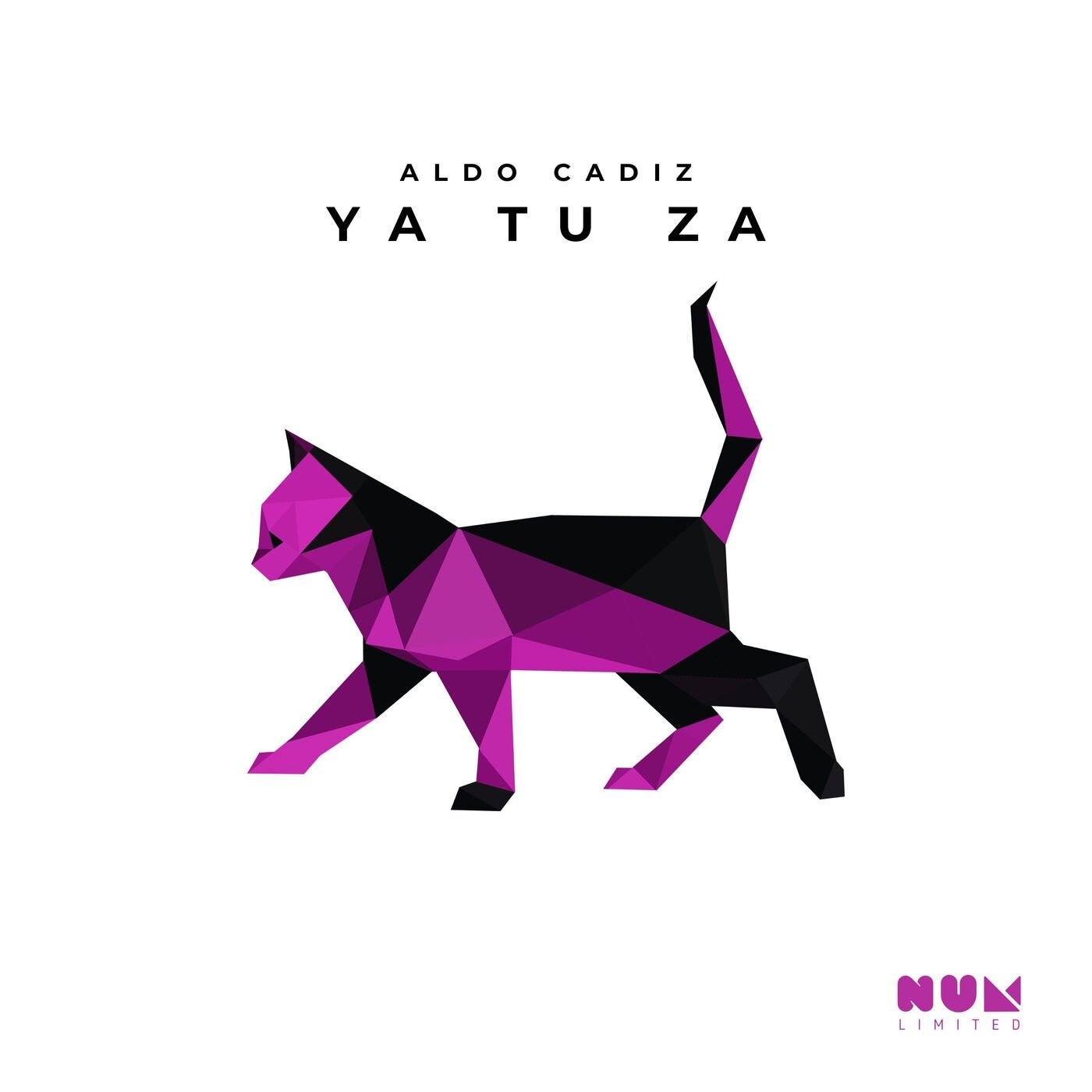 Cover - Aldo Cadiz - Ya Tu Za (Original Mix) Promo tools