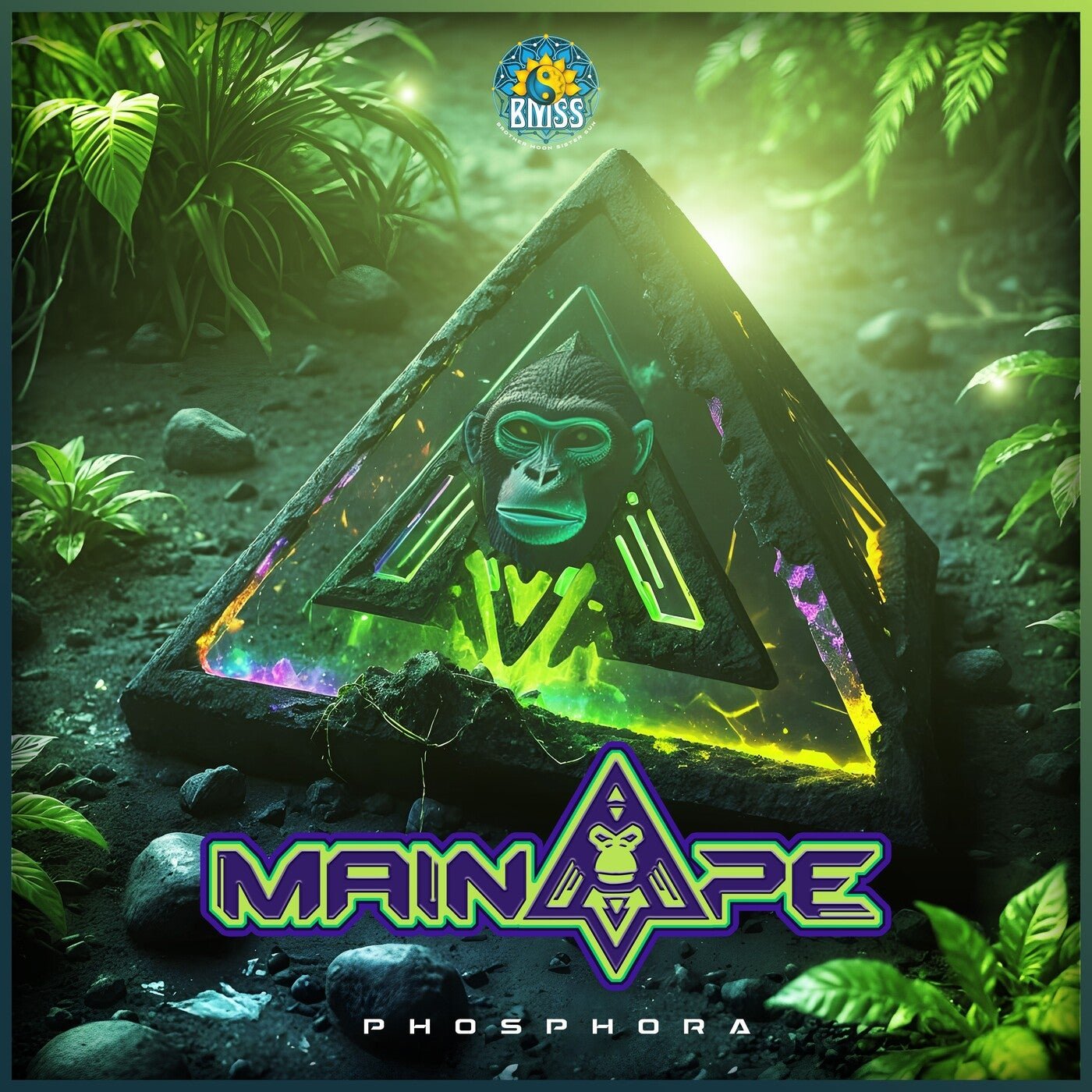 Cover - Main Ape - Phosphora (Original Mix) Promo tools