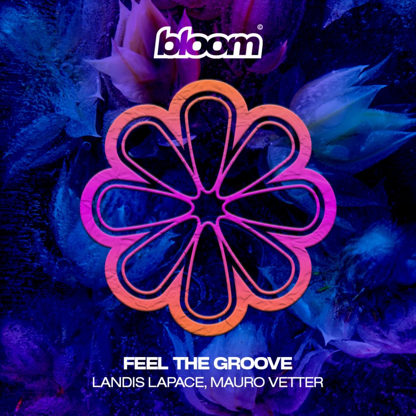Cover - Landis LaPace - Calculated (Original Mix) Promo tools