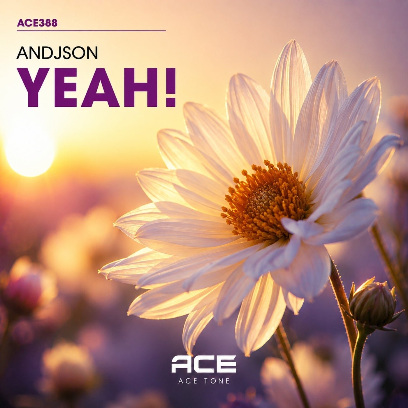 Cover - Andjson - Yeah! (Original Mix) 