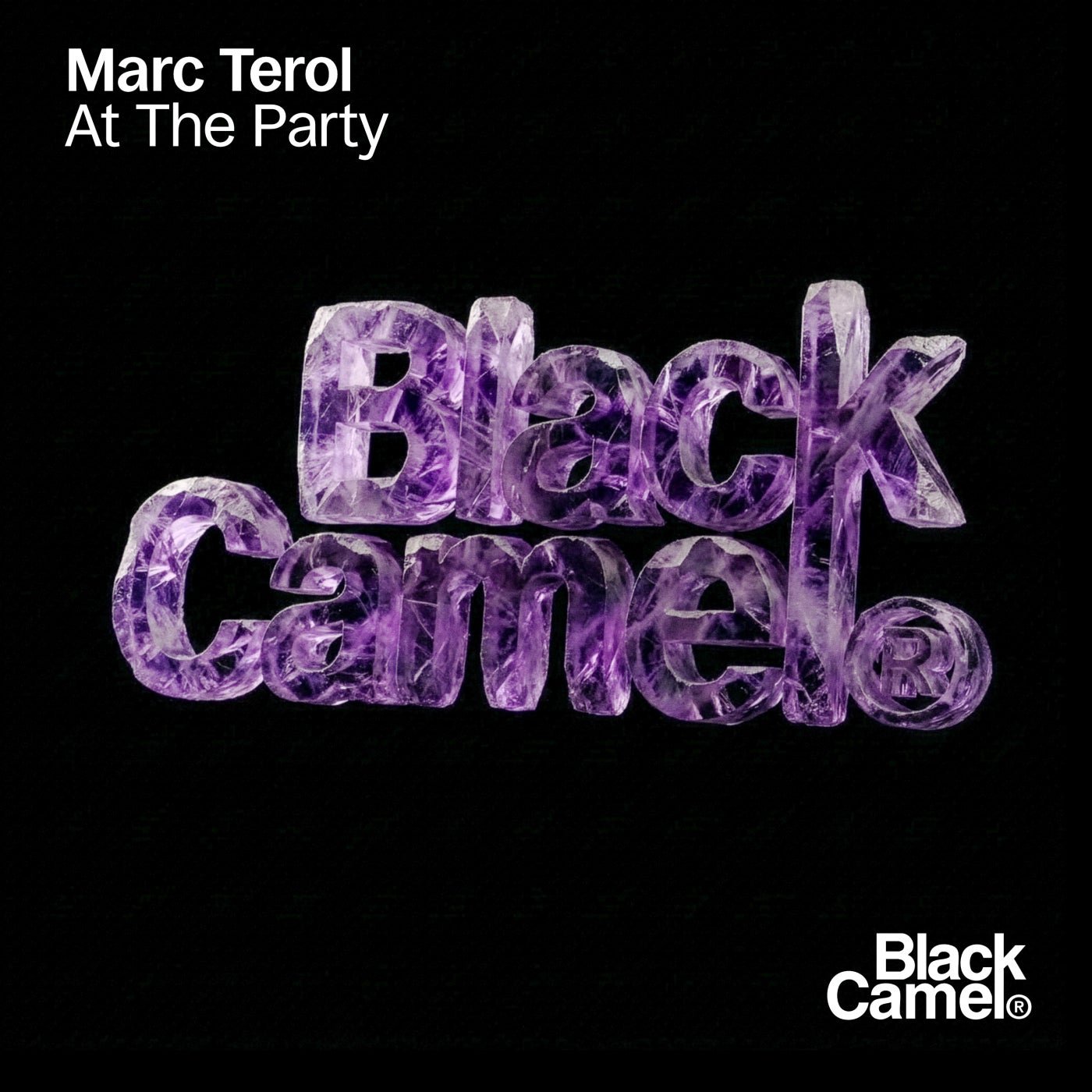 Cover - MARC TEROL - At the Party (Original Mix) Promo tools
