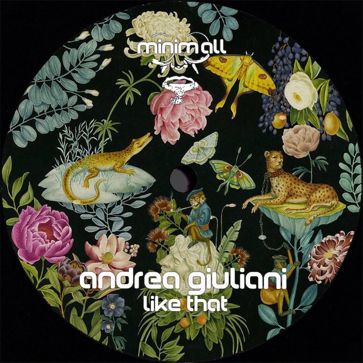 Cover - Andrea Giuliani - Like That (Original Mix) Promo tools