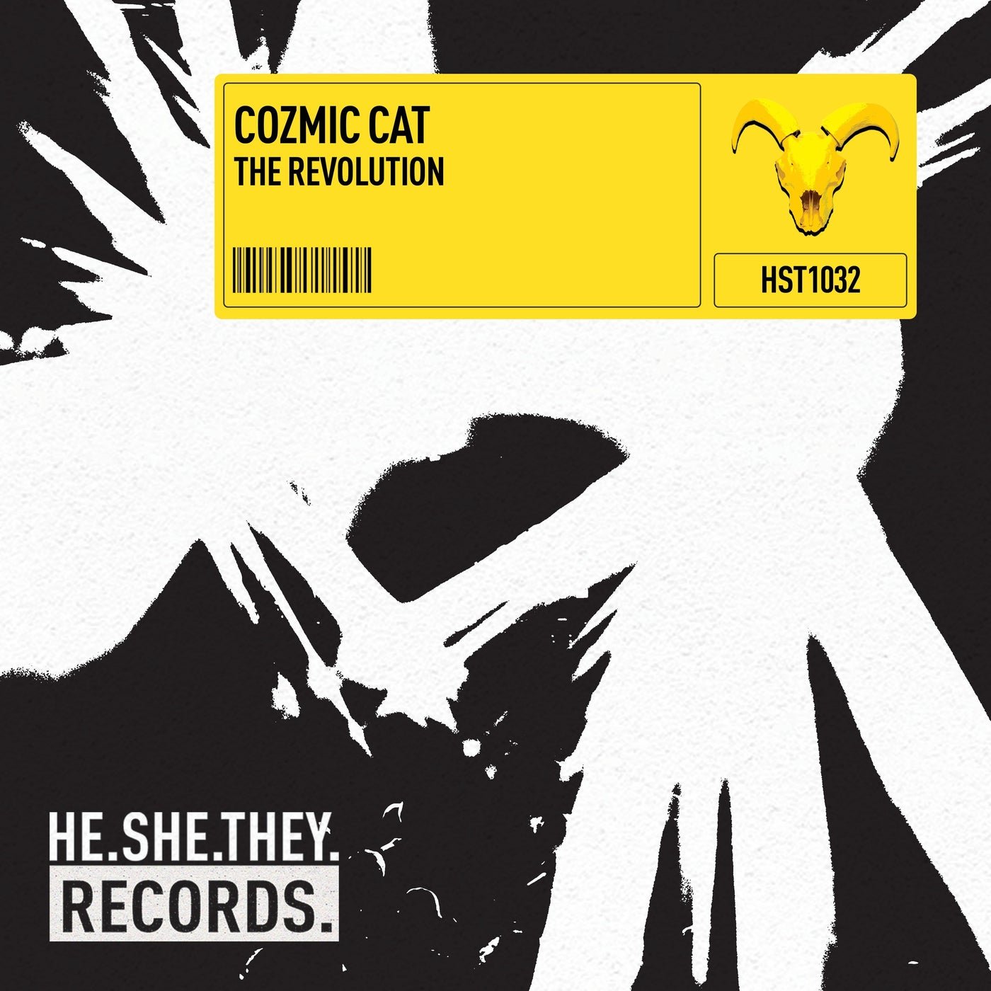 Cover - Cozmic Cat - The Revolution (Extended) 