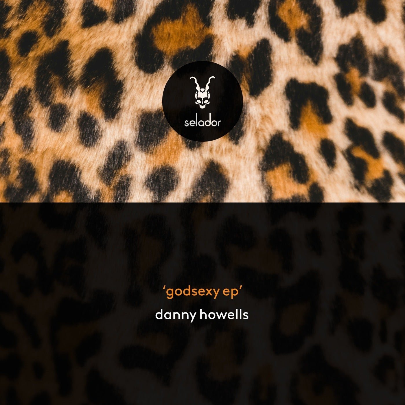 Cover - Danny Howells - Shutdown (Original Mix) Promo tools