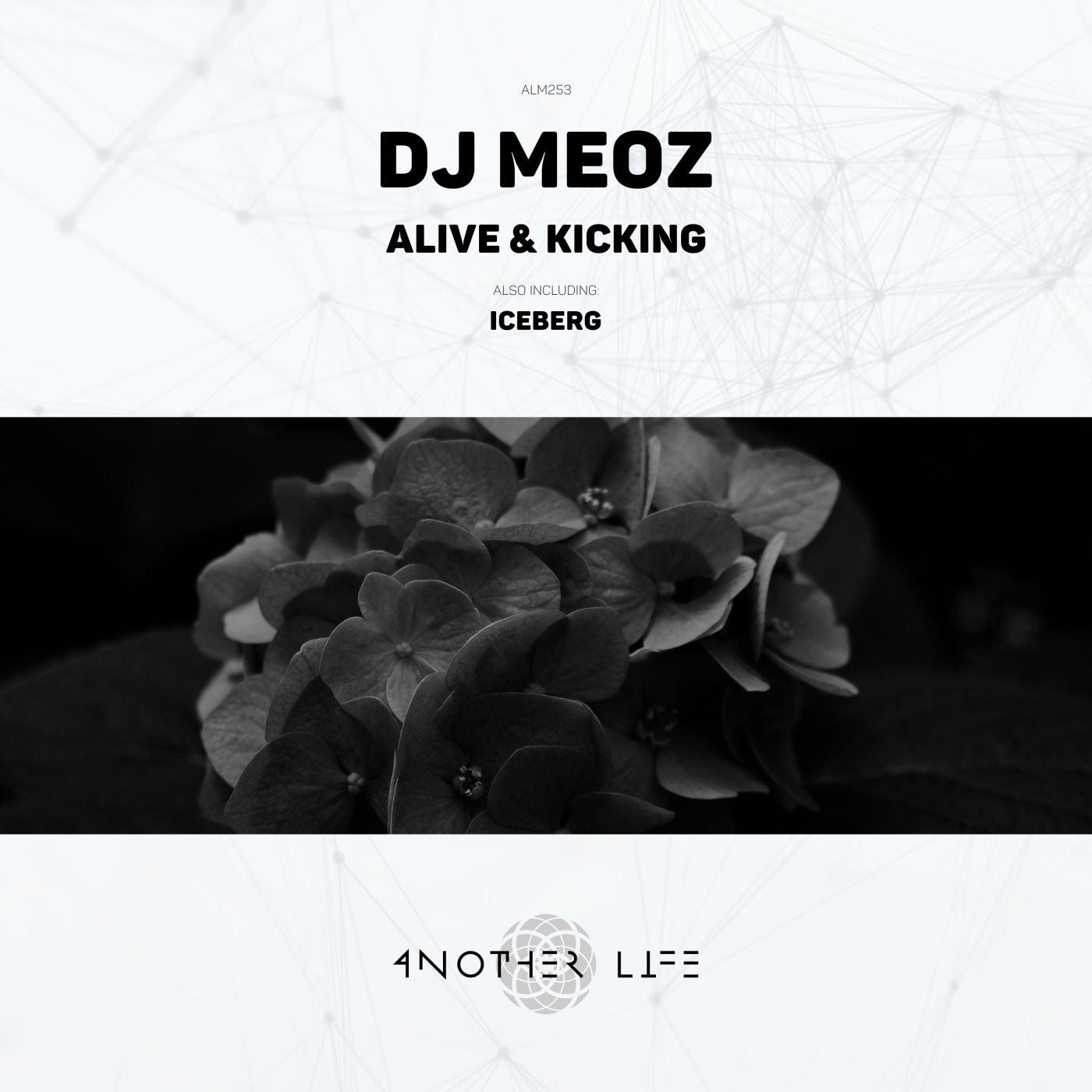 Cover - Dj Meoz - Iceberg (Original Mix) 