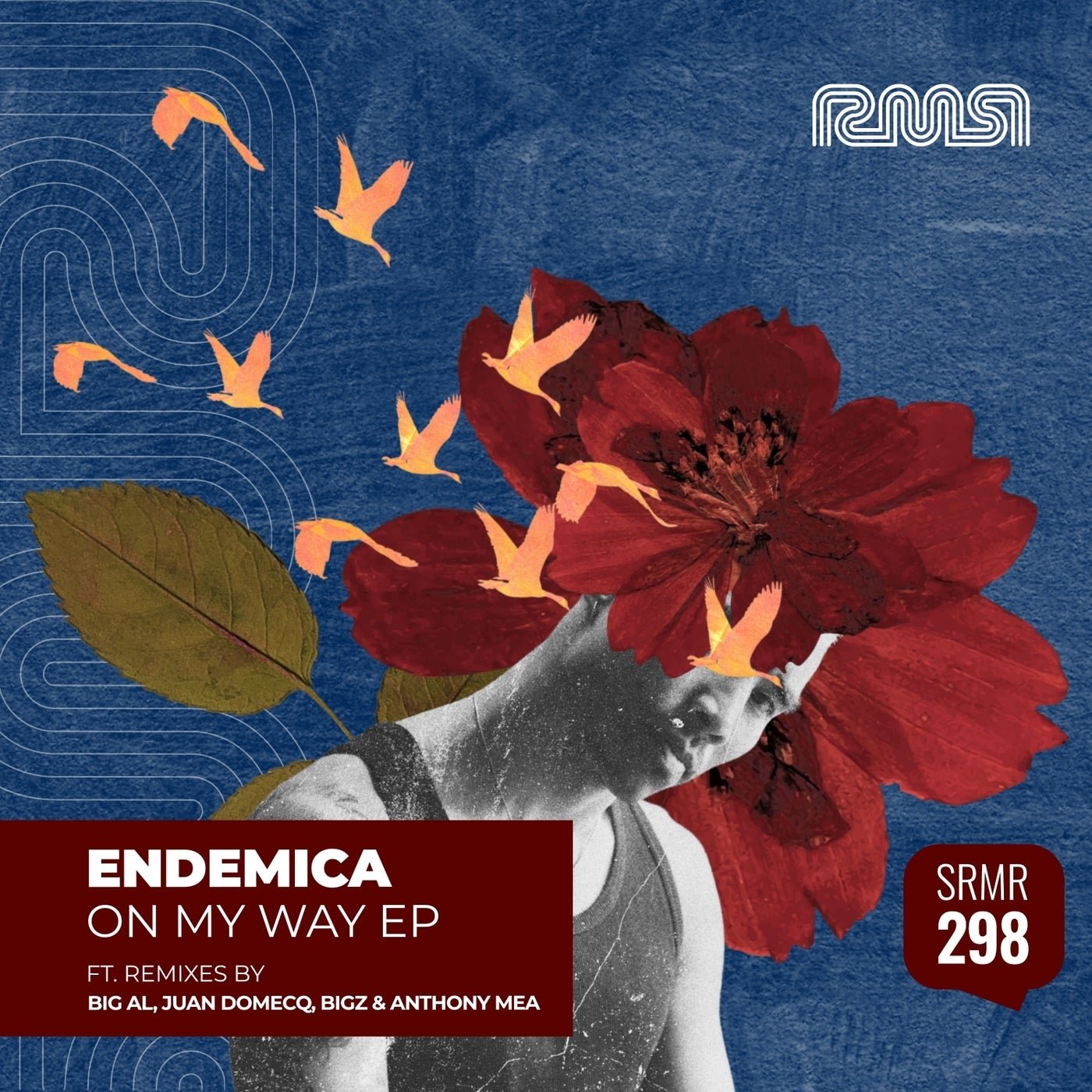 Cover - Endemica - Your Imagination (Original Mix) 