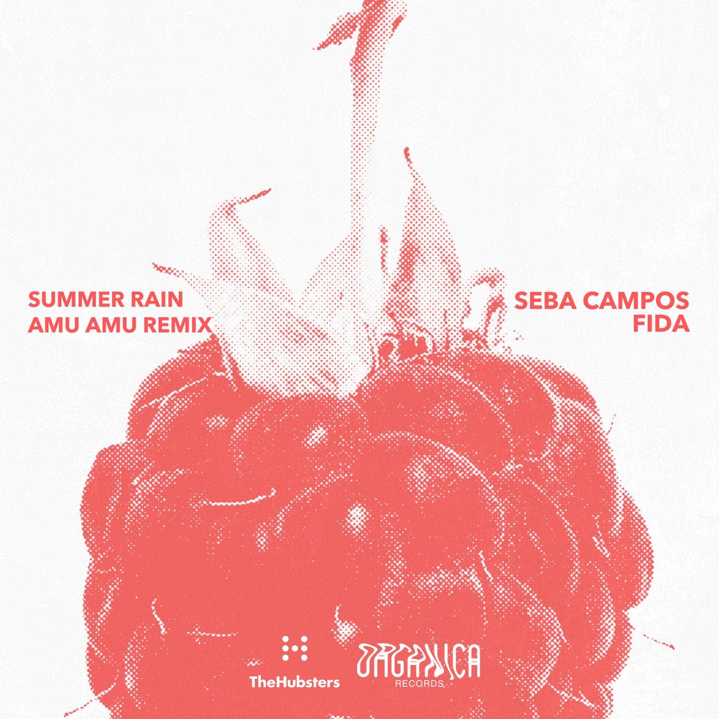 Cover - AmuAmu, Seba Campos, Fida - Summer Rain (AmuAmu Remix) 