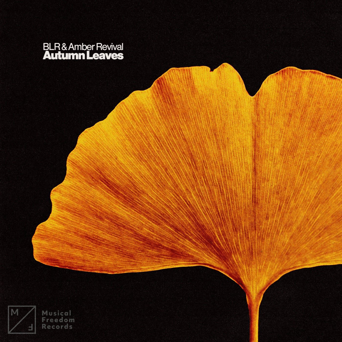 Cover - BLR, Amber Revival - Autumn Leaves (Extended Mix) 